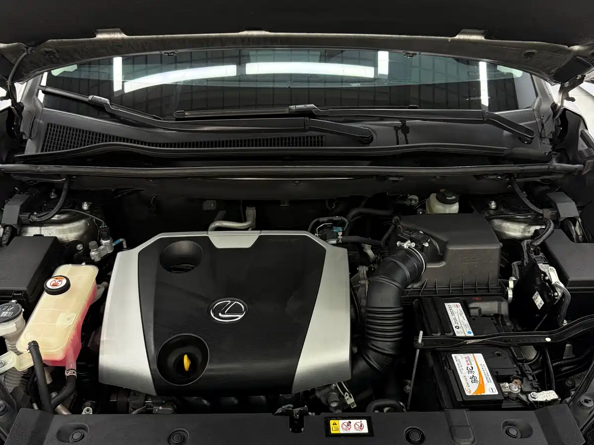 Lexus NX 2020 200 FWD Fengyi Edition China VI фото 24