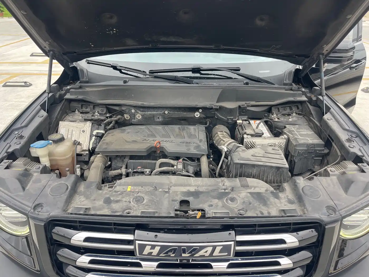 Haval Big Dog 2021 1.5T DCT 2WD Border Collie Edition фото 24