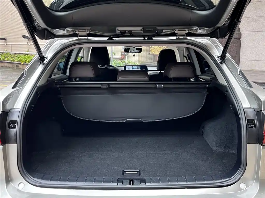 Lexus RX 2016 300 2WD Comfort Edition China V фото 24