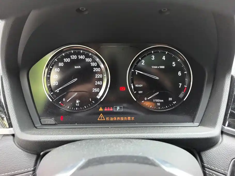 BMW X2 (Import) 2019 2019 sDrive20i M Off-Road Package China VI