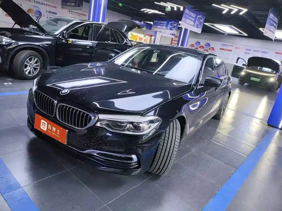 BMW 5 Series 2019 530Li Premium Luxury Package