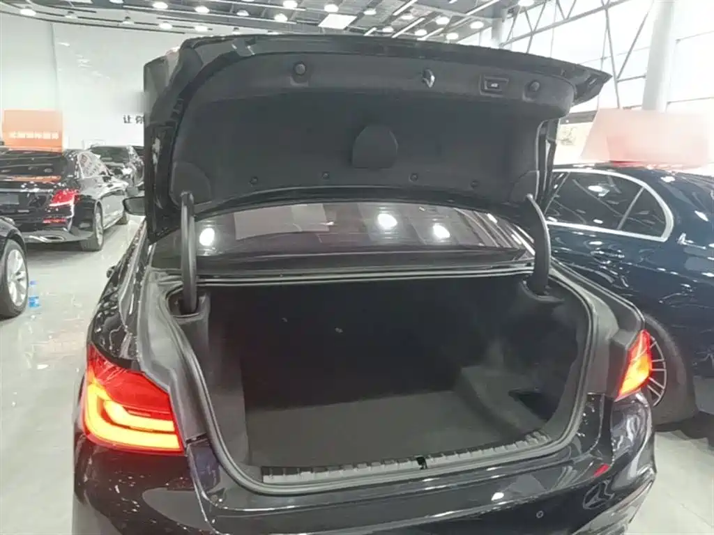 BMW 5 Series 2019 Facelift 530Li Leading M Sport Package фото 19