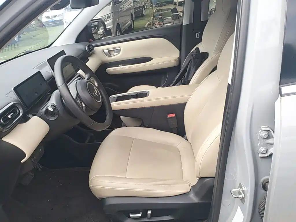 Wuling Motors Wuling Binguo PLUS 2024 2024 Model 510km Flagship Edition 4-Seater