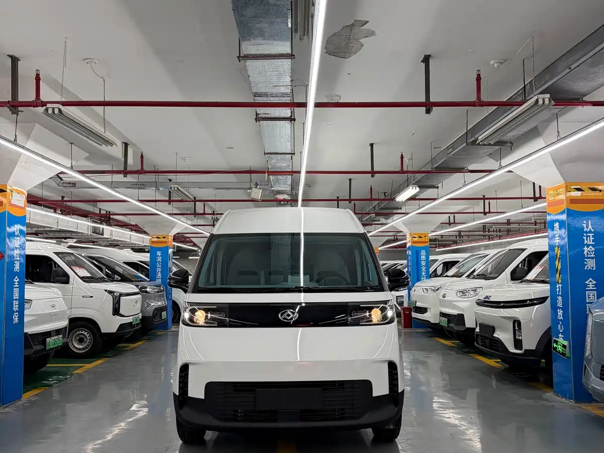Фото 2 - Maxus Dana V1L