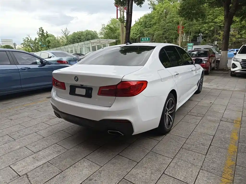 BMW 5 Series 2018 525Li M Sport Package фото 7