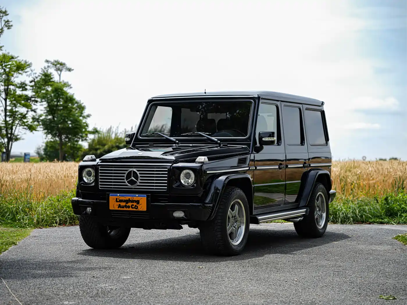 Mercedes-Benz G-Class AMG 2009 AMG G 55