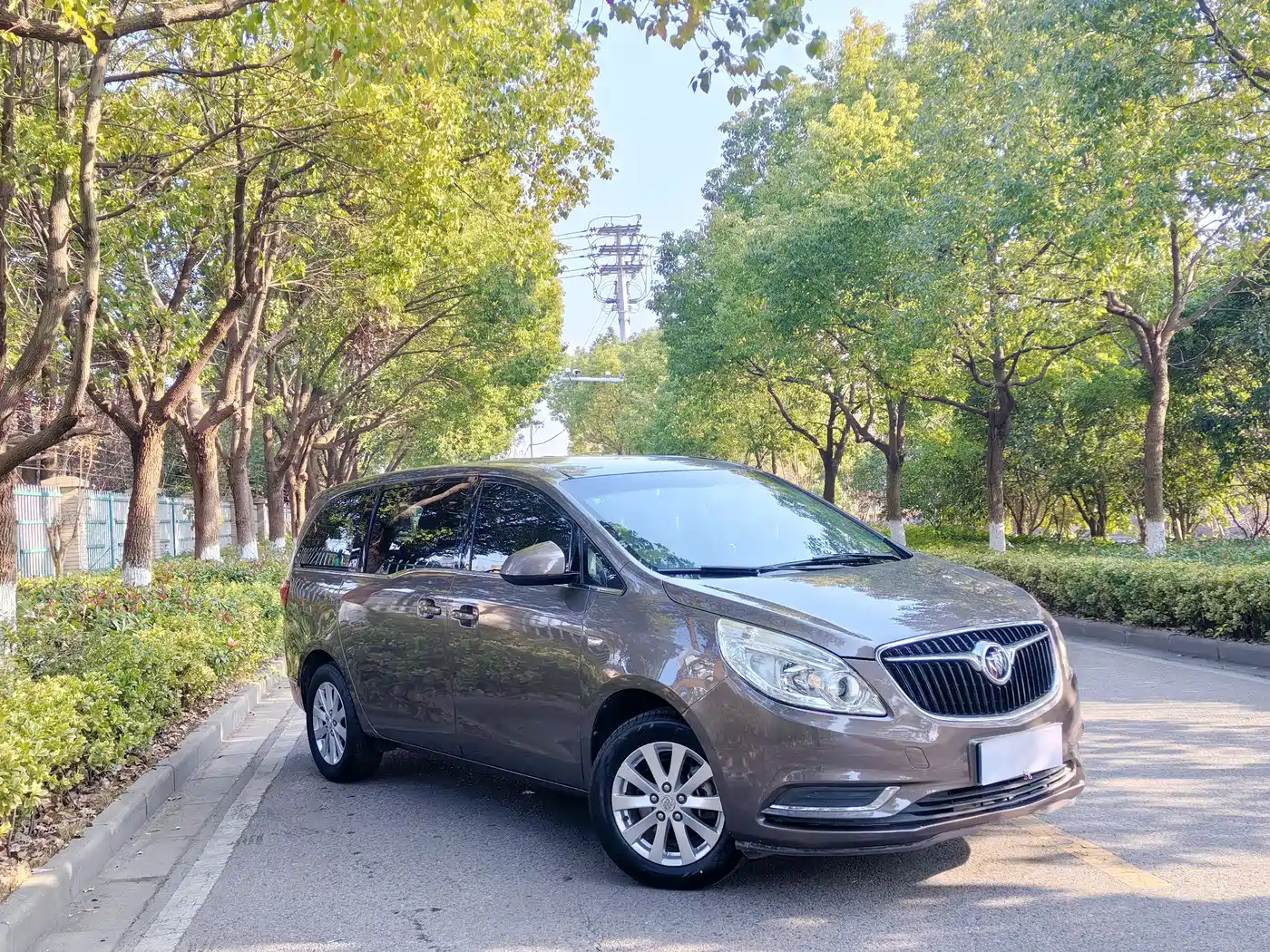 Buick GL8 2017 25S Comfort China V фото 2
