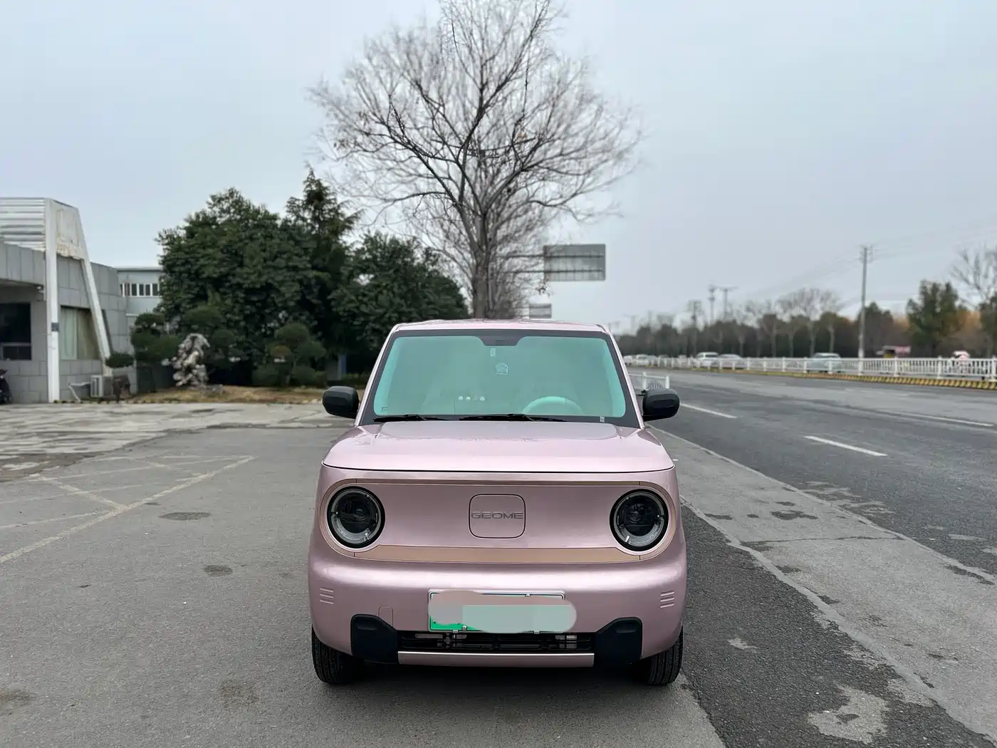 GEELY GALAXY PANDA