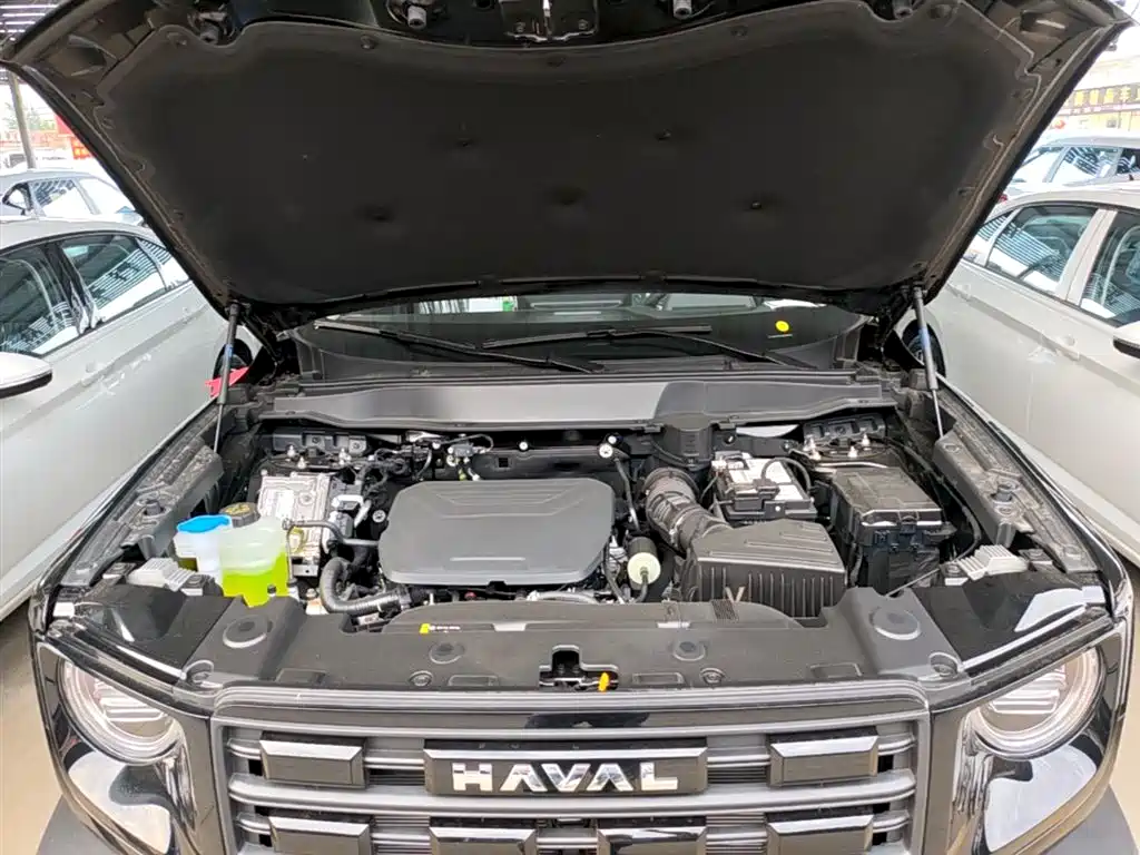 Haval Big Dog 2026 Model 1.5T Basic Configuration фото 20