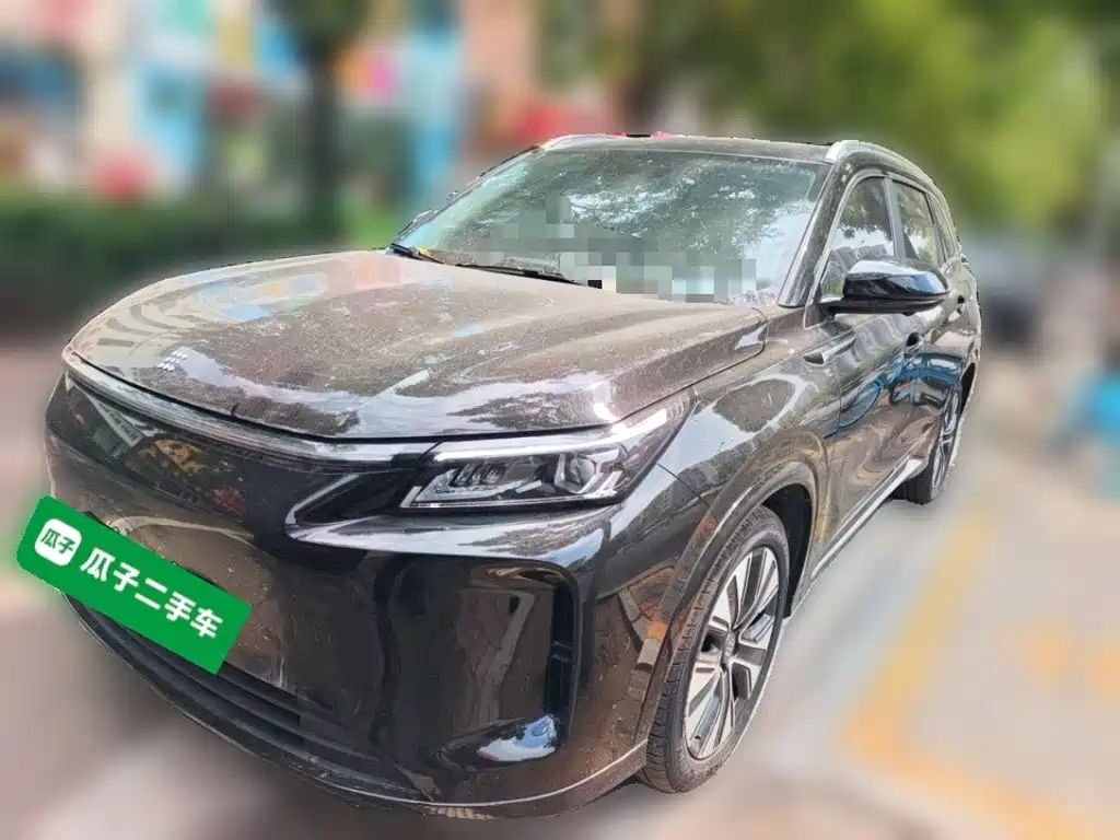 Landian Landian E5 PLUS 2025 165km Long Range Travel Custom Edition 7-seater