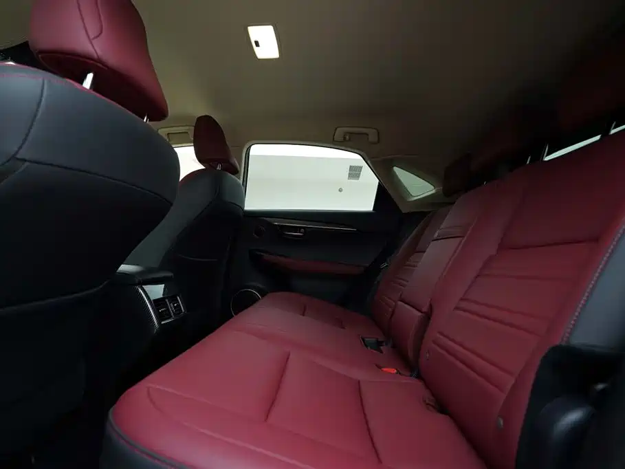 Lexus NX 2018 Model 300 FWD Fengxing Edition фото 18