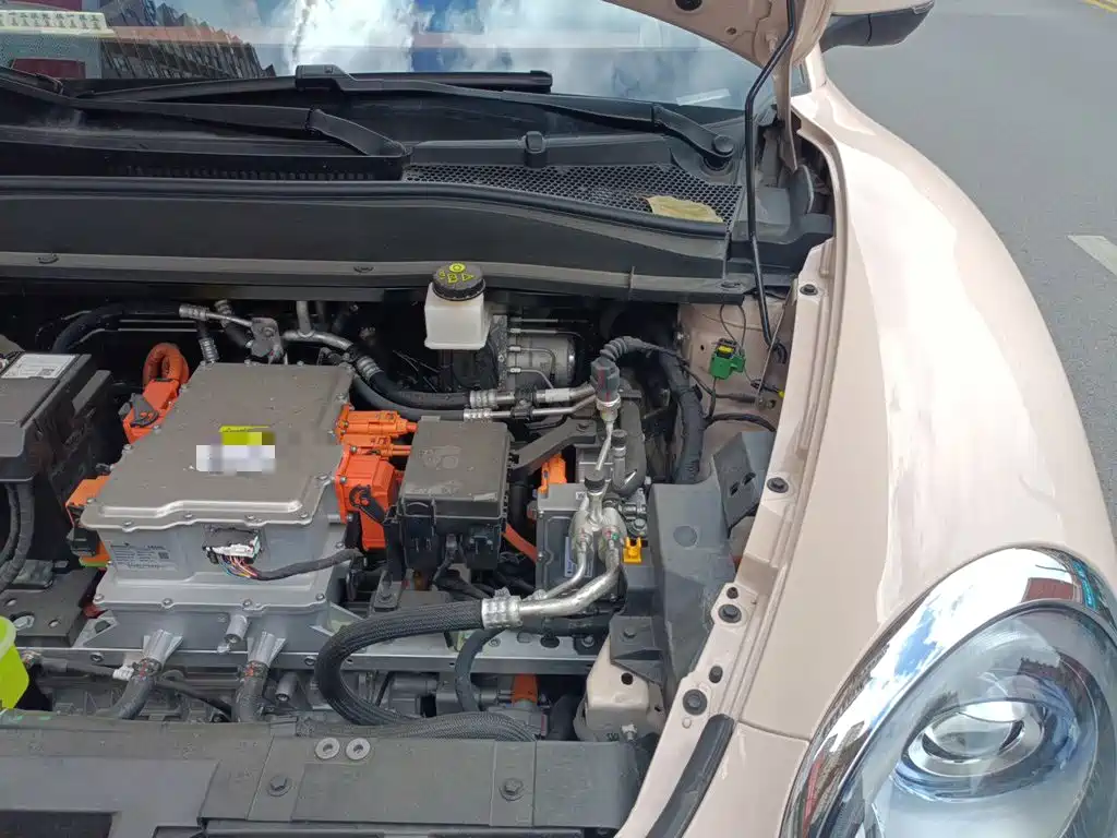 Ora Good Cat 2025 2025 Model 430km Luxury