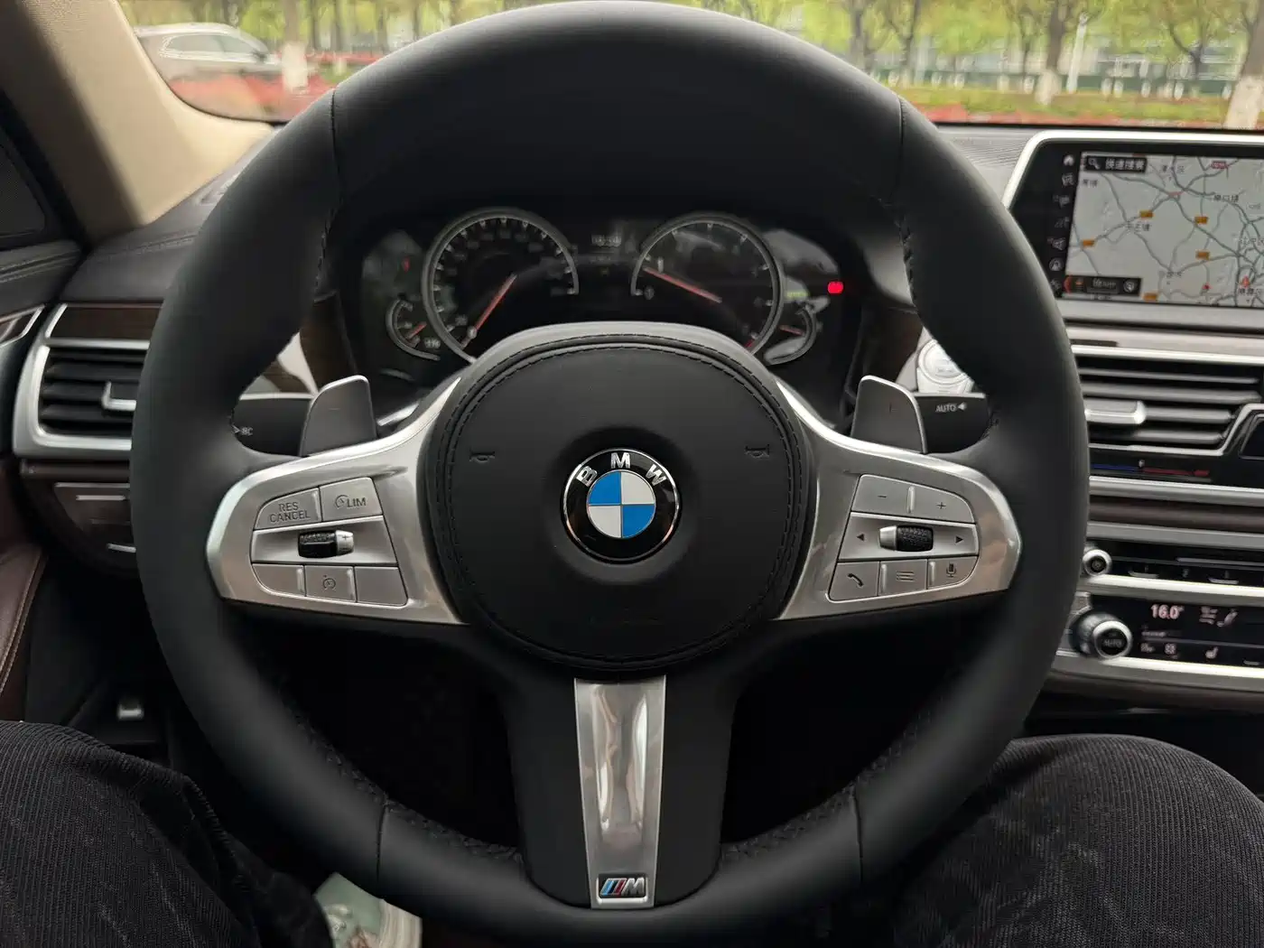 BMW 7 Series 2016 730Li Leading фото 14
