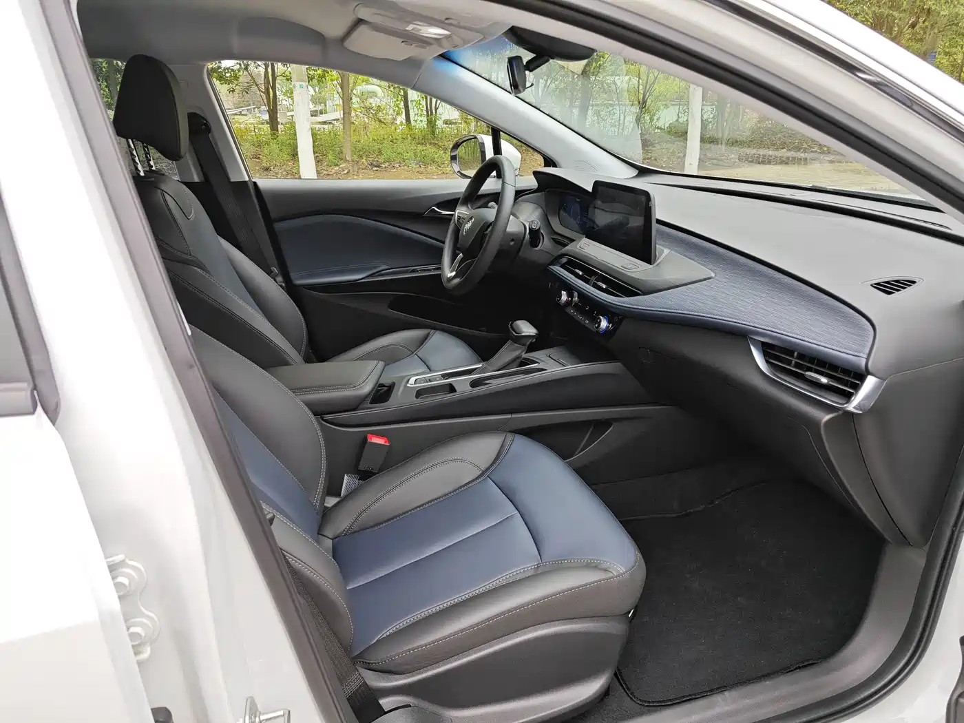 BUICK SLIGHTLY BLUE 6