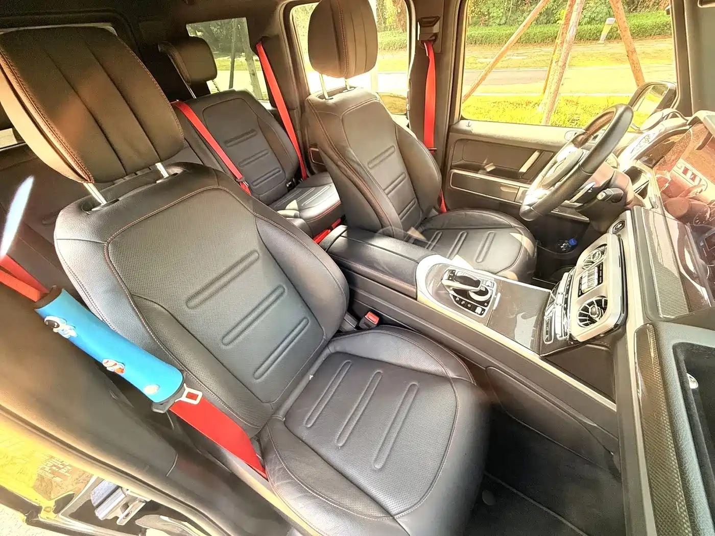 Mercedes-Benz G-Class 2019 G 500 фото 6