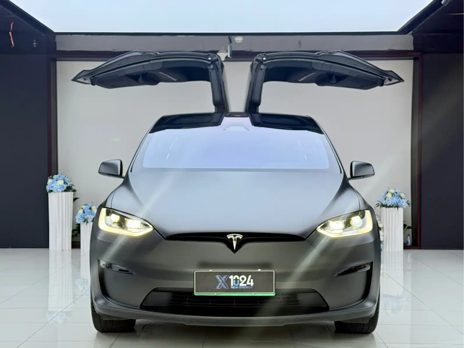 Фото 2 - Tesla Model X