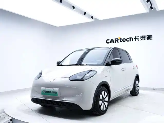 WULING WULING BINGGUO