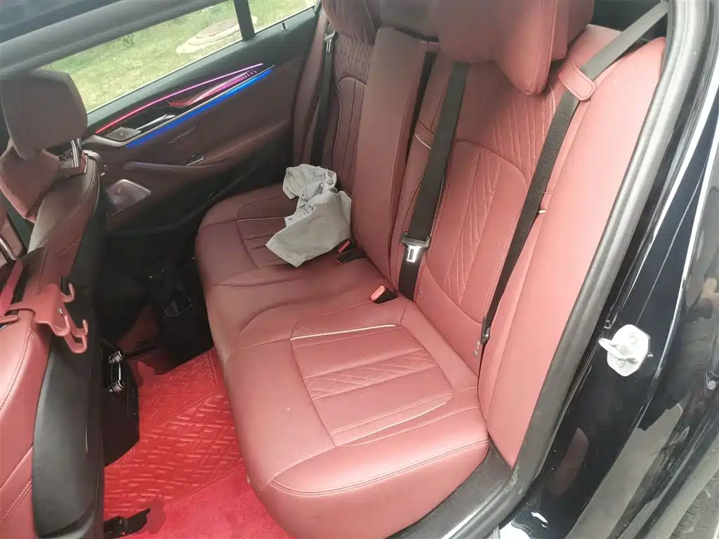 BMW 5 Series 2021 Facelift 530Li Premium M Sport Package фото 14
