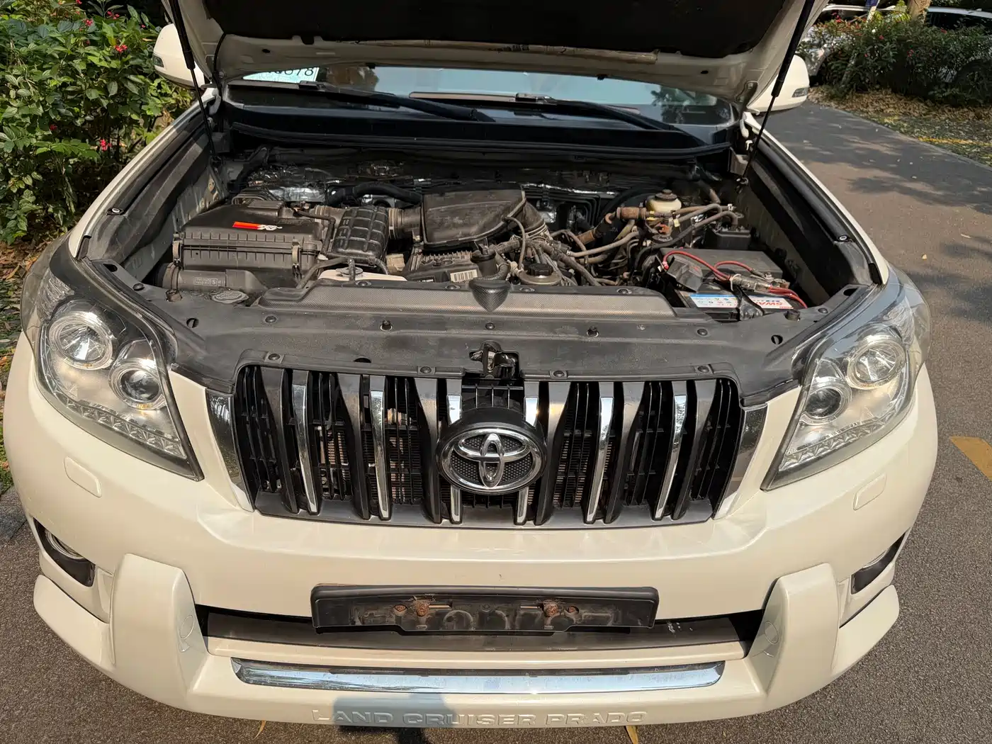 Toyota Prado (Import) фото 26