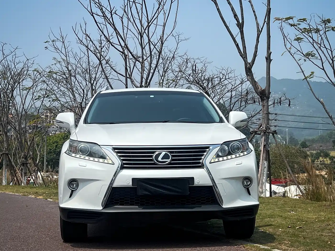 Lexus RX Classic 2013 270 Elegance фото 2