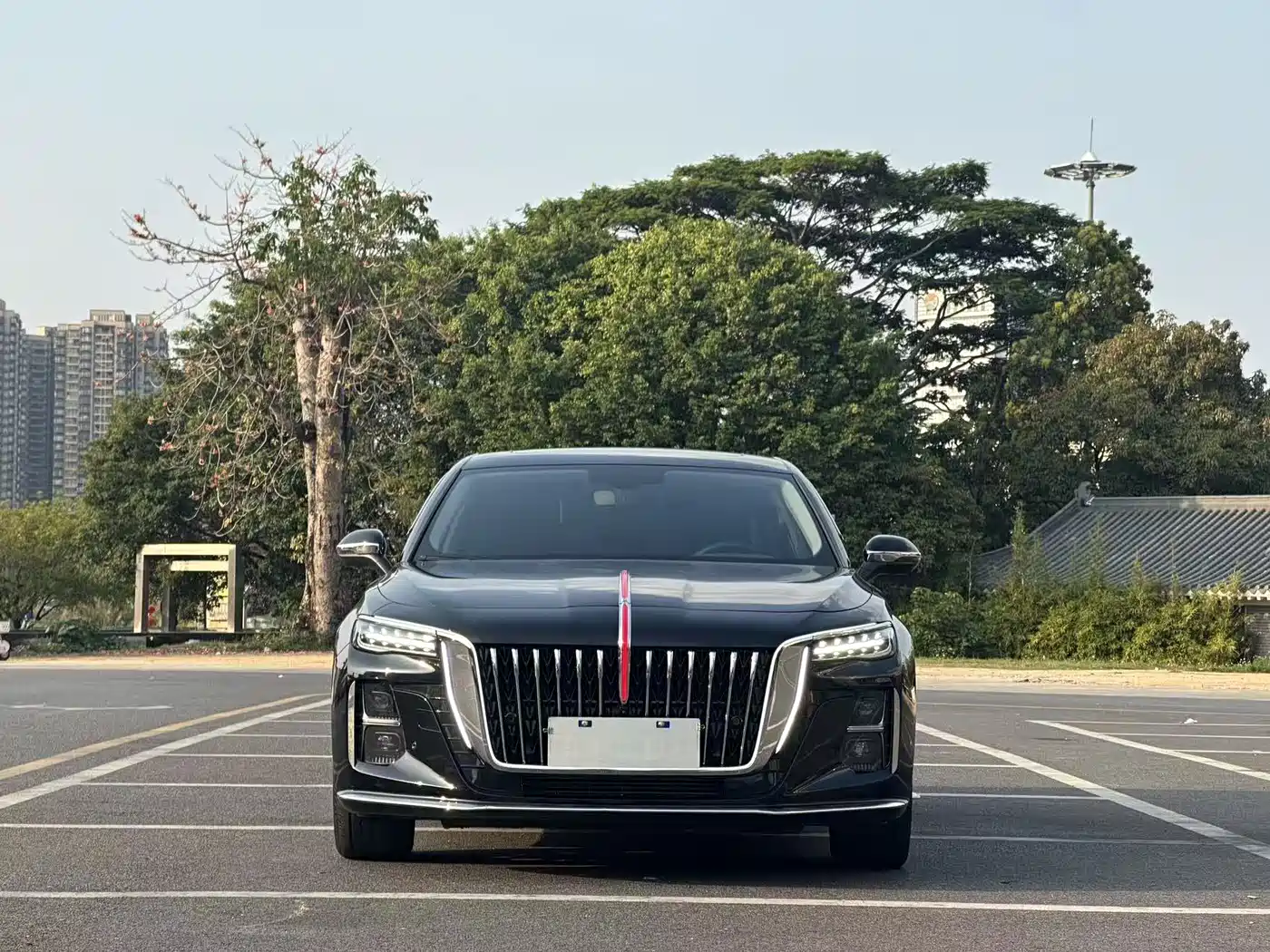 Hongqi H5 2025 1.5T DCT Flag Rhythm 500,000 Units Memorial Edition фото 2