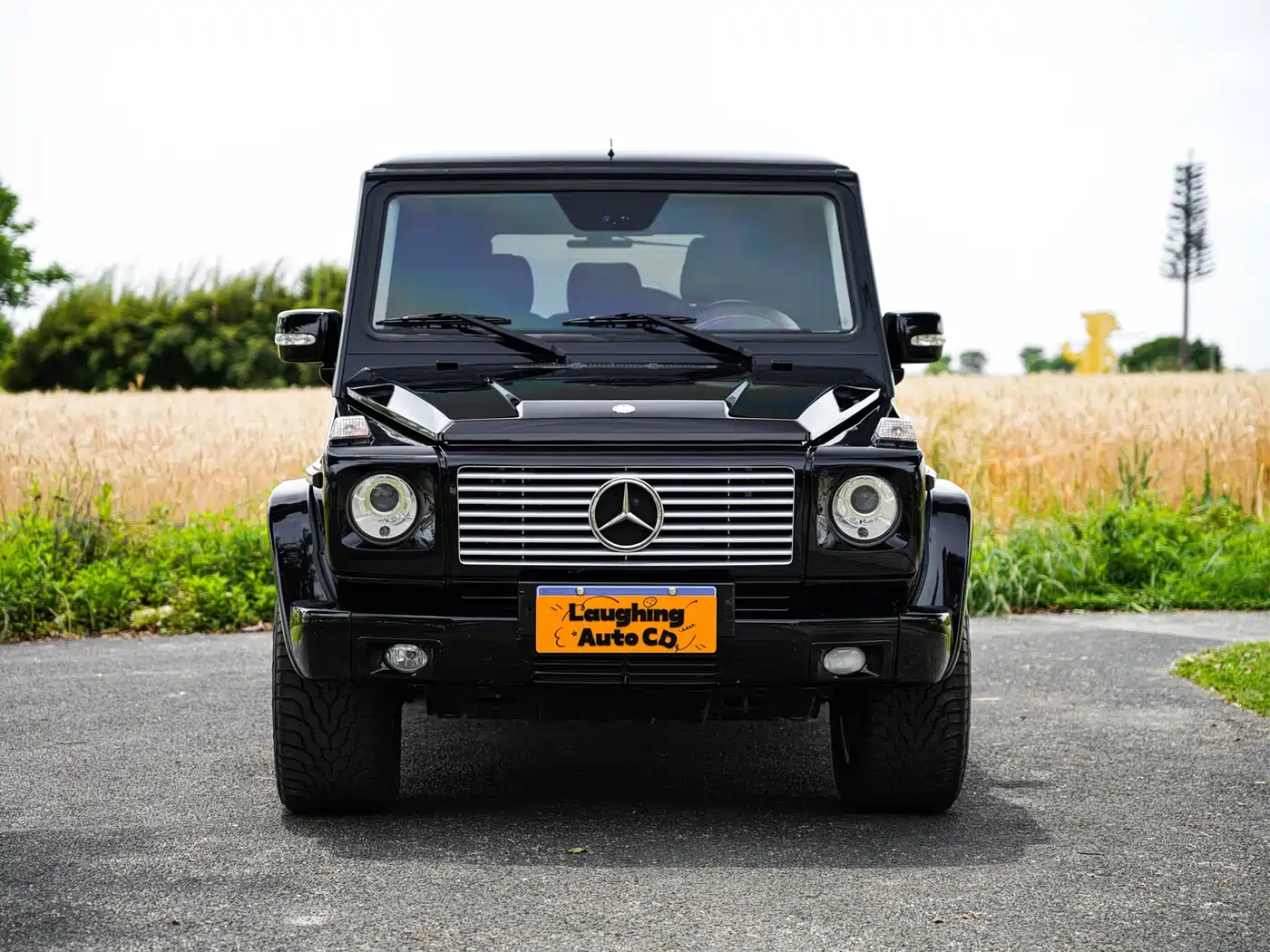 Mercedes-Benz G-Class AMG 2009 AMG G 55 фото 2