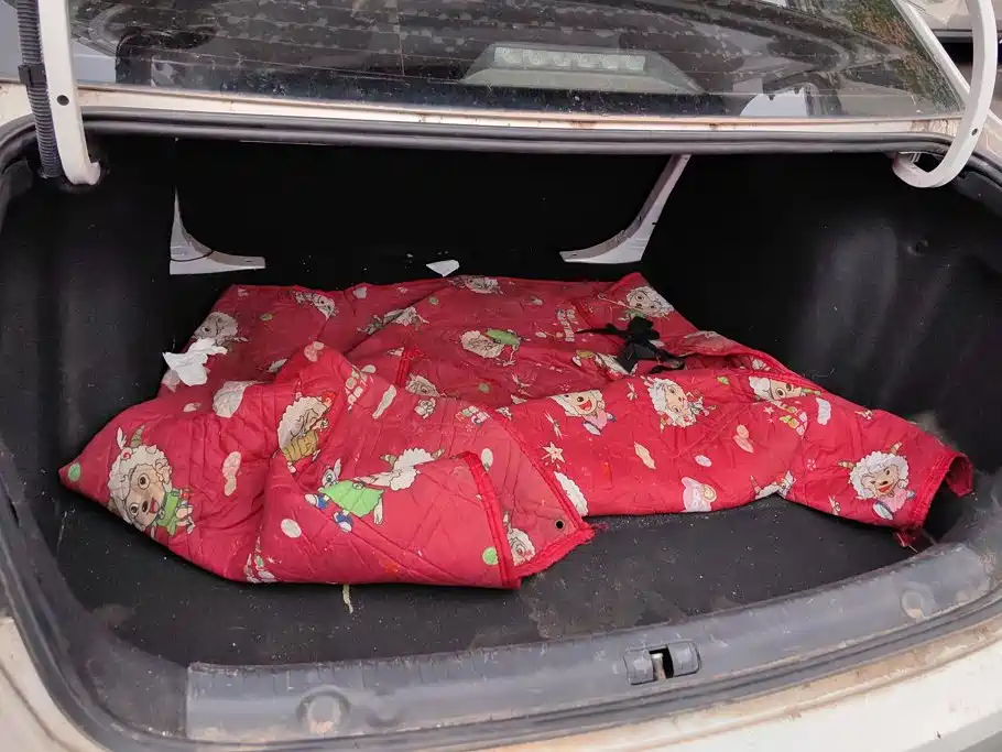 Photo 4 - Volkswagen Lavida