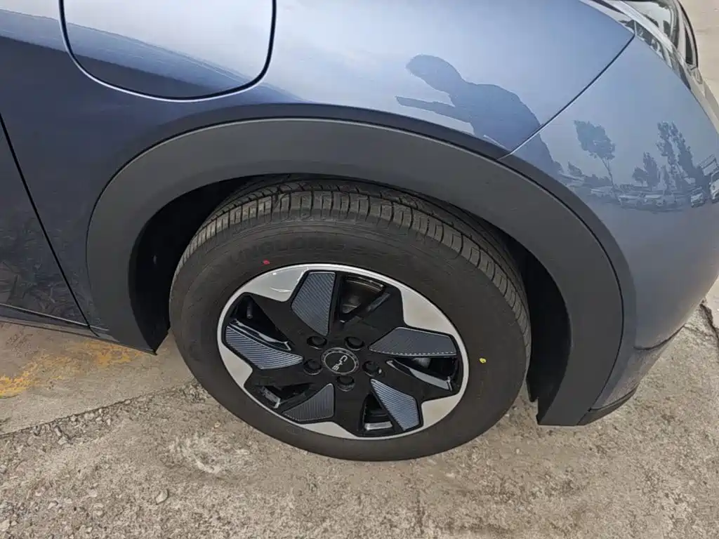 BYD Dolphin 2025 2025 420km Freedom Edition