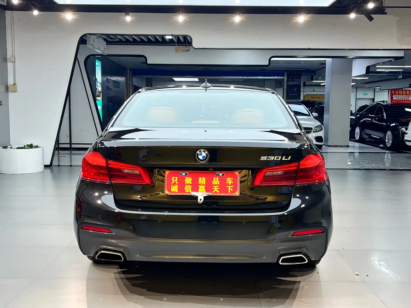 BMW 5 Series 2020 530Li Leading M Sport Package фото 14