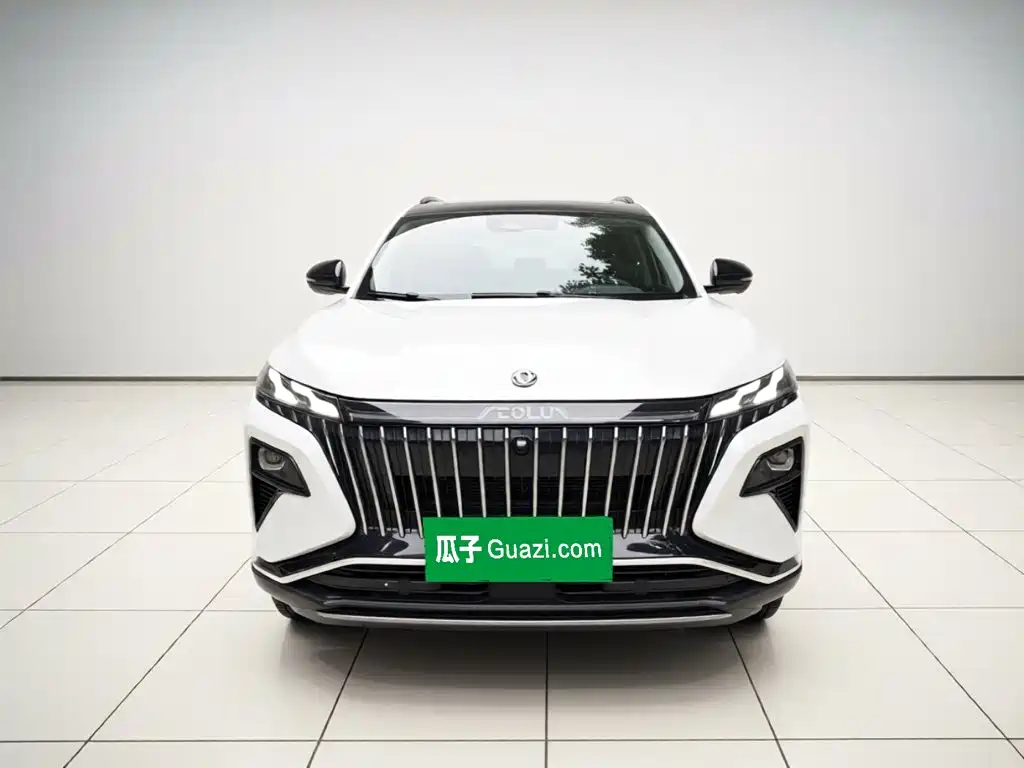 2023 Dongfeng Aeolus Haoji
