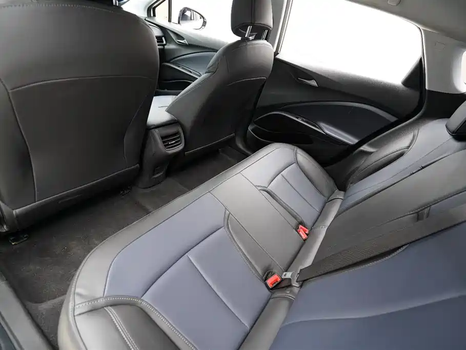 BUICK SLIGHTLY BLUE 6