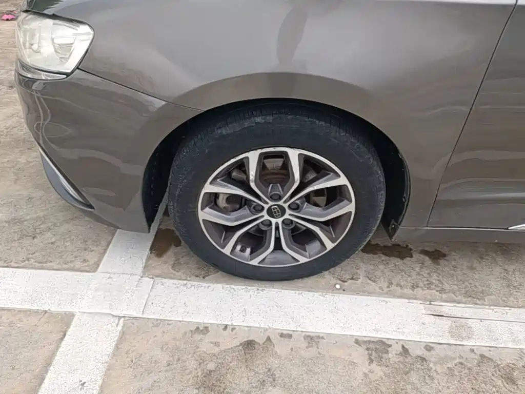 Фото 25 - Geely Borui