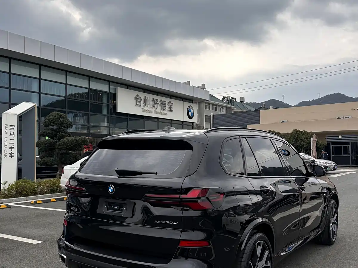 BMW X5 2025 Model xDrive 30Li Exclusive M Sport Blackout Package фото 12