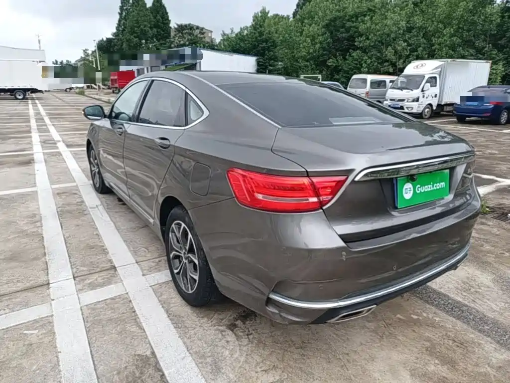 Фото 23 - Geely Borui