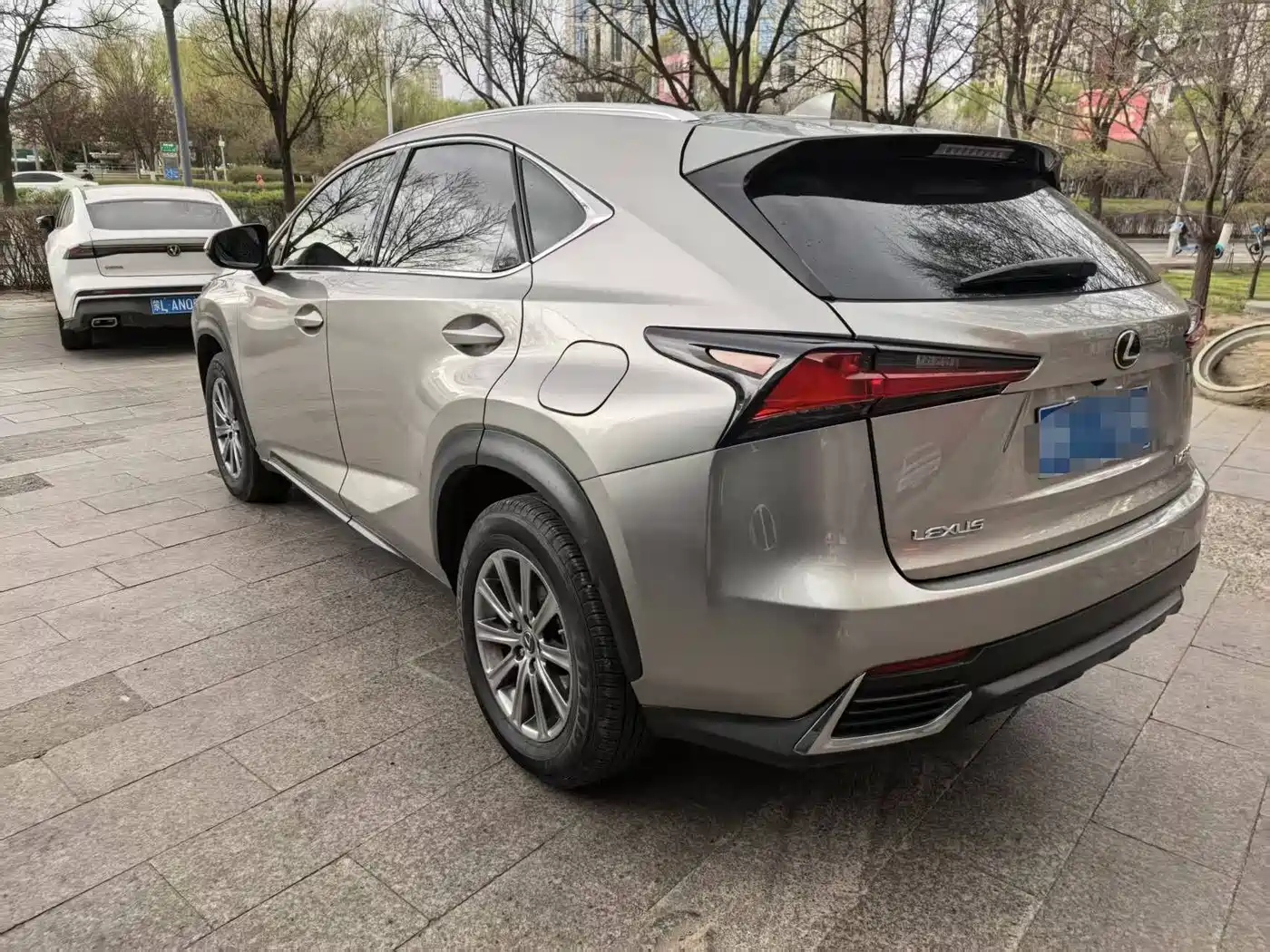 LEXUS NX