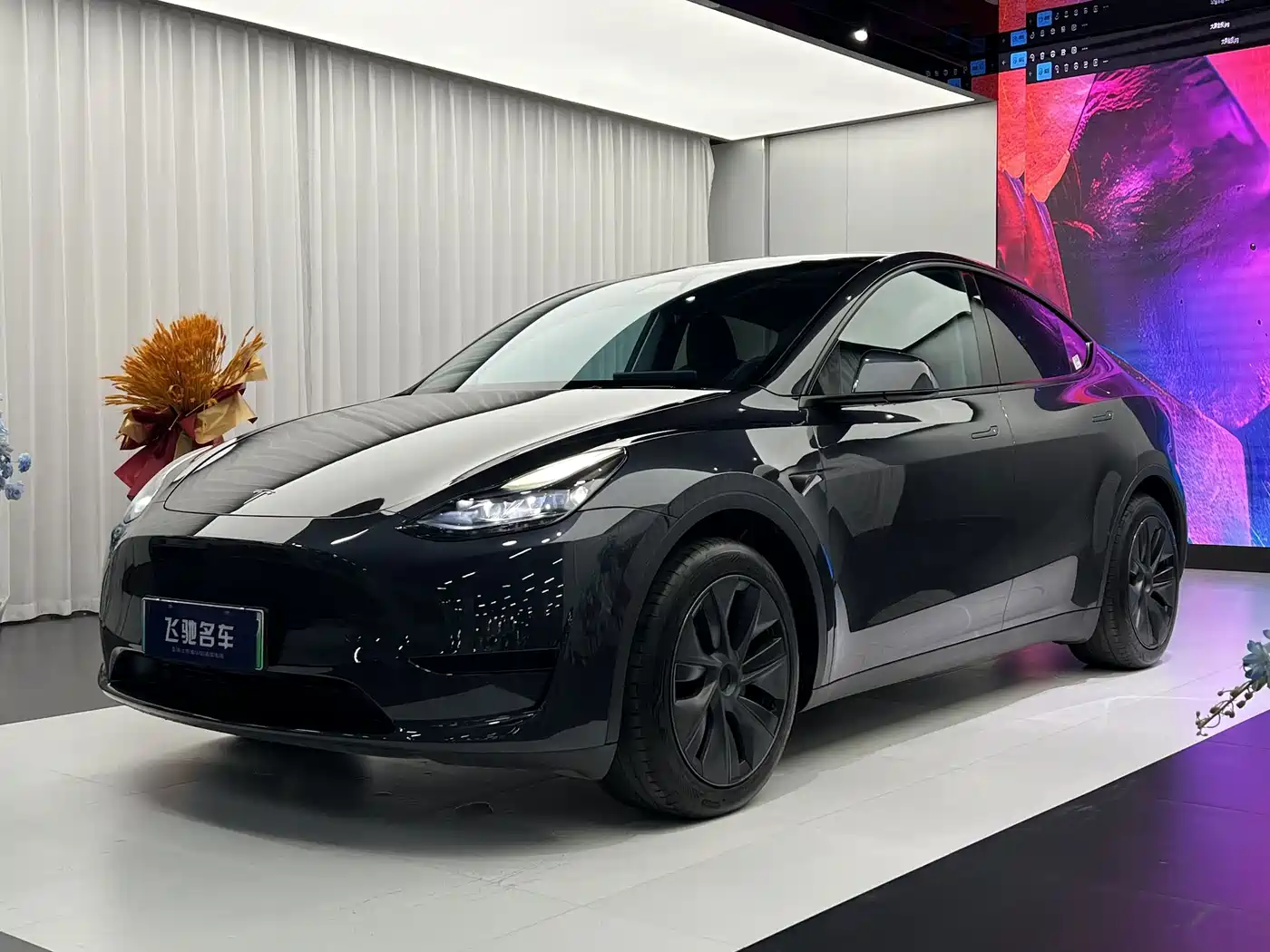 Tesla Model Y 2024