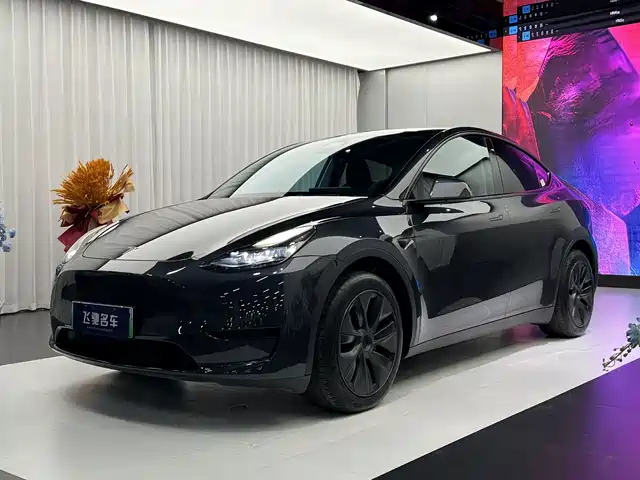 Tesla Model Y Задний привод