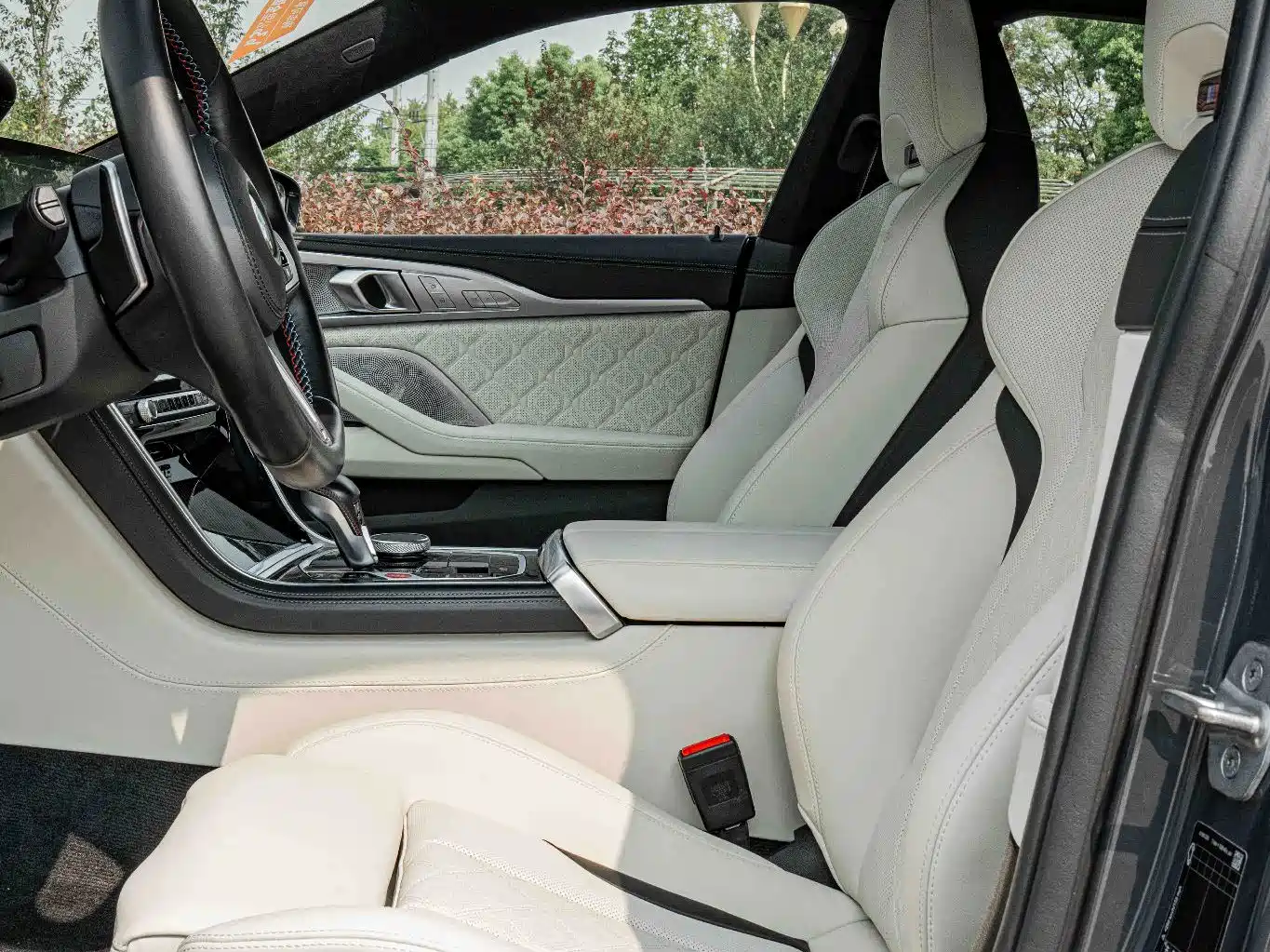 Photo 11 - BMW M8