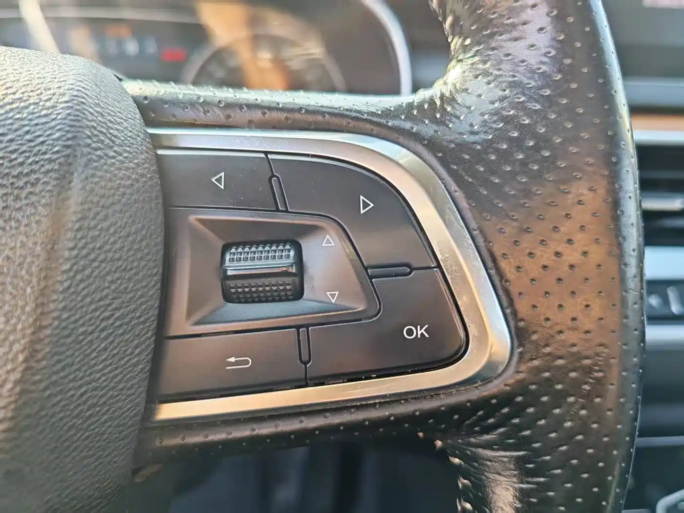 Hongqi H5 2018 30TD Smart Connected Royal Edition фото 17