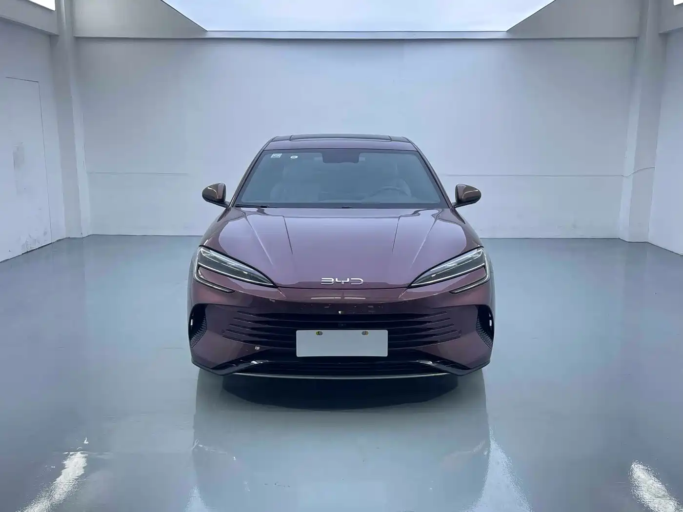 BYD Seal 2024 Glory Edition DM-i 1.5L 121km Luxury фото 2