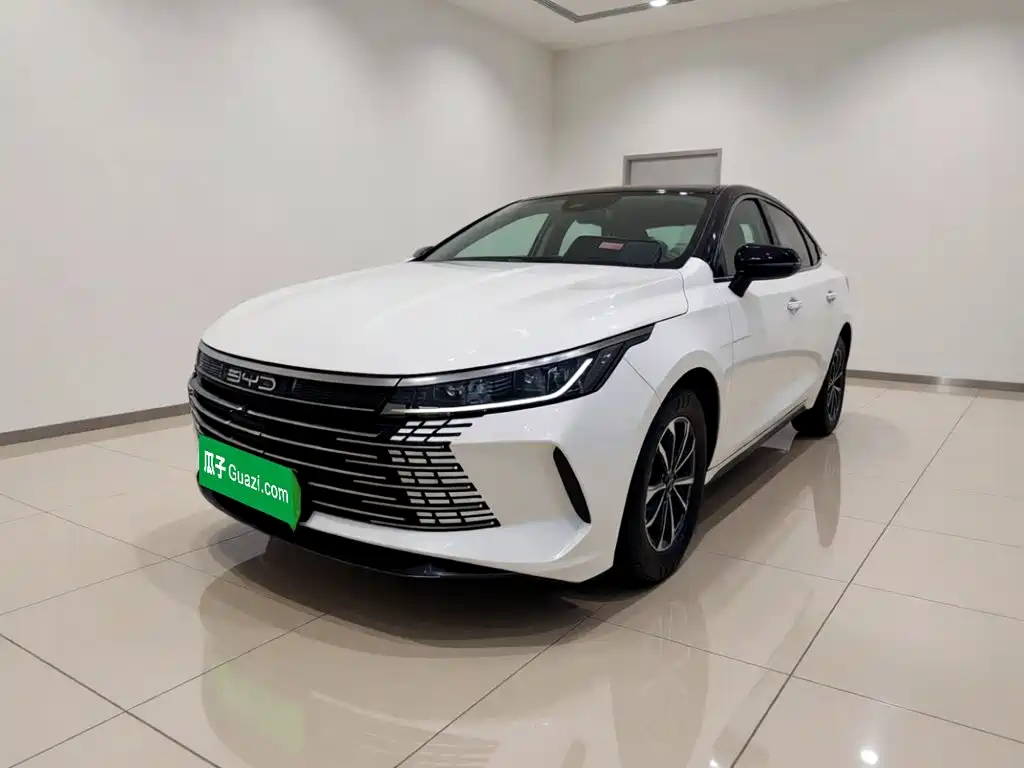 BYD Destroyer 05 2024