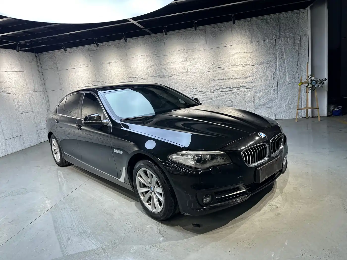 BMW 5 Series 2014 520Li Elegance фото 3