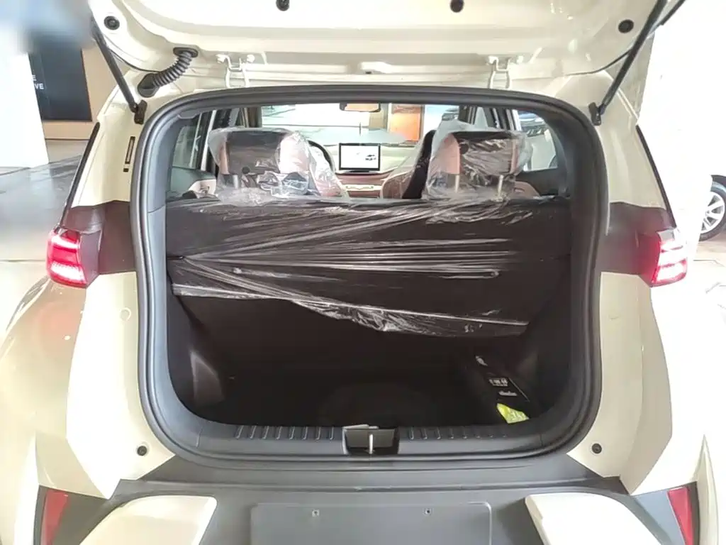 BYD Seagull 2026 2025 305km Vitality