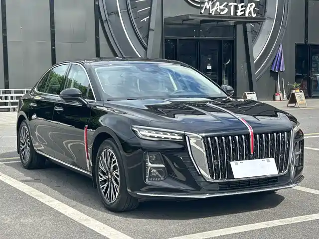 Hongqi H5 2024 2.0T Automatic Smart Connect Flag Smooth Edition — фото 3