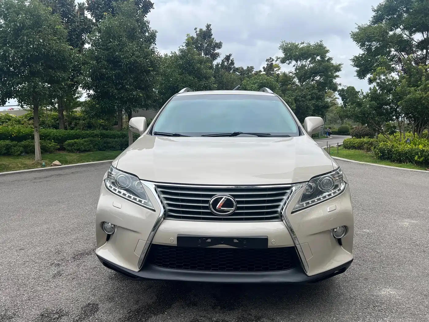 Lexus RX Classic 2014 2013 270 Elite