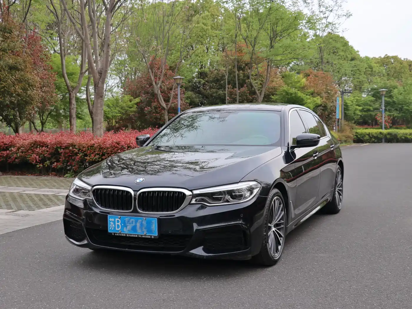 BMW 5 Series 2020 530Li Leading M Sport Package фото 2