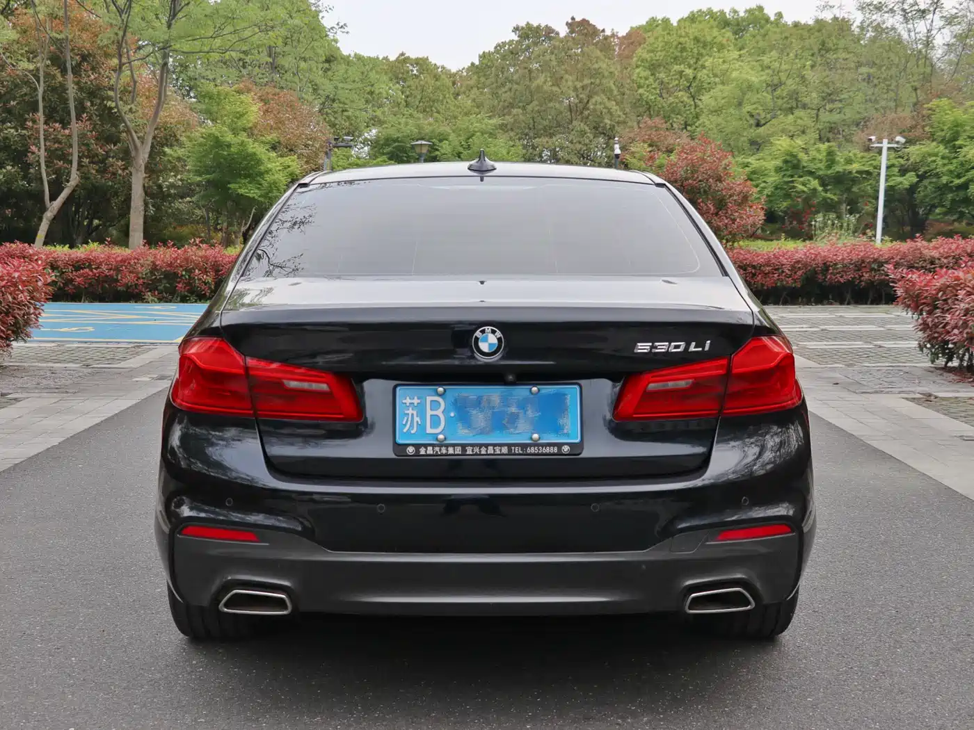 BMW 5 Series 2020 530Li Leading M Sport Package фото 8