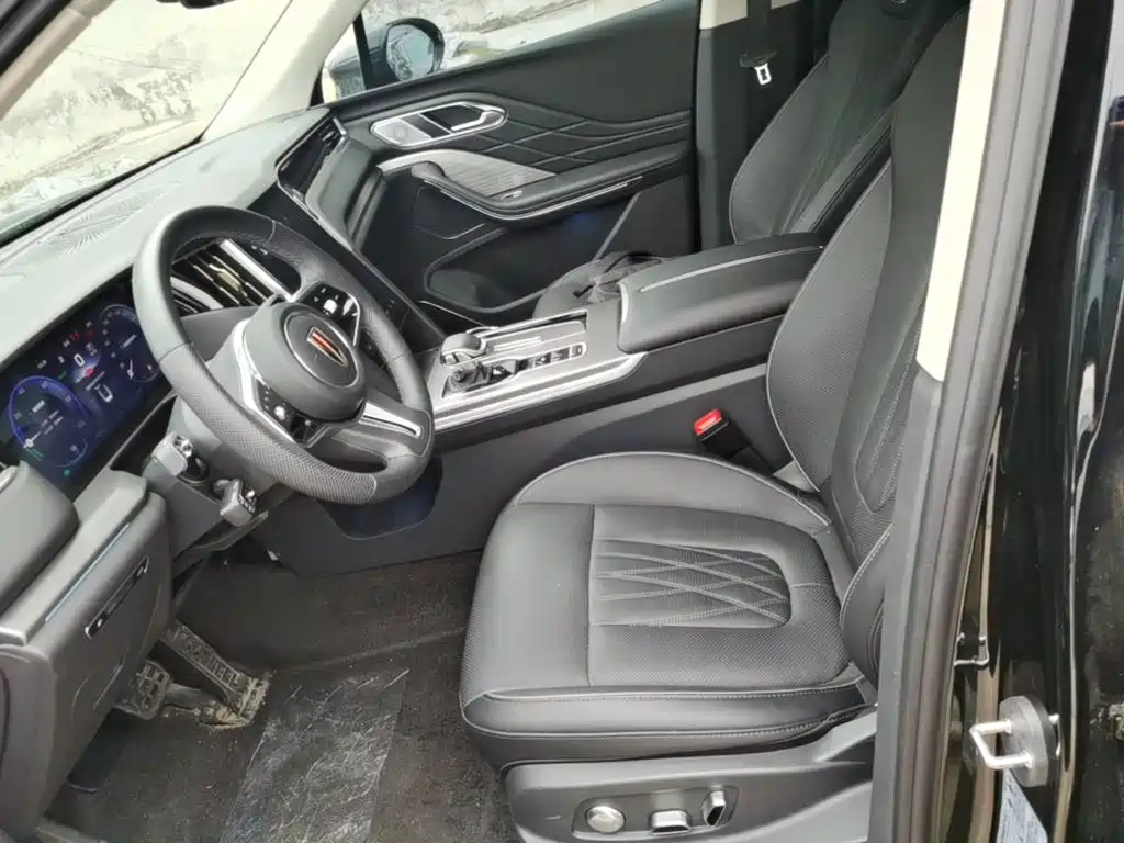 صورة 15 - Hongqi HS7 PHEV