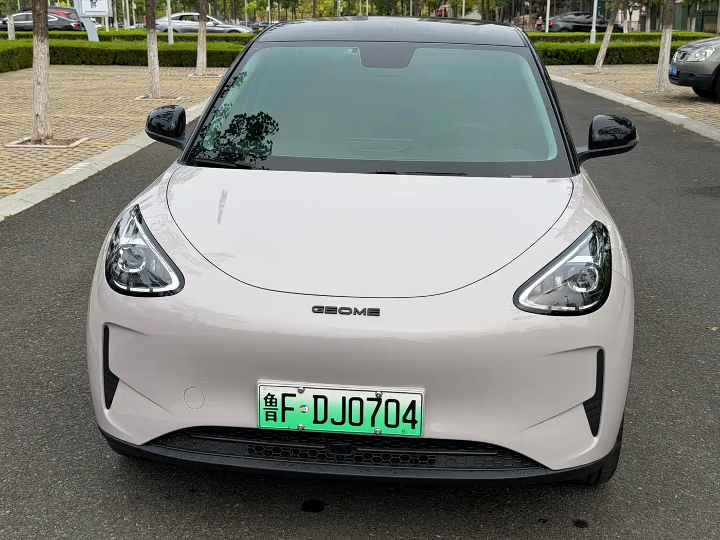 Geely Galaxy Starry Wish 2026 2026 Edition 310km Youth Version