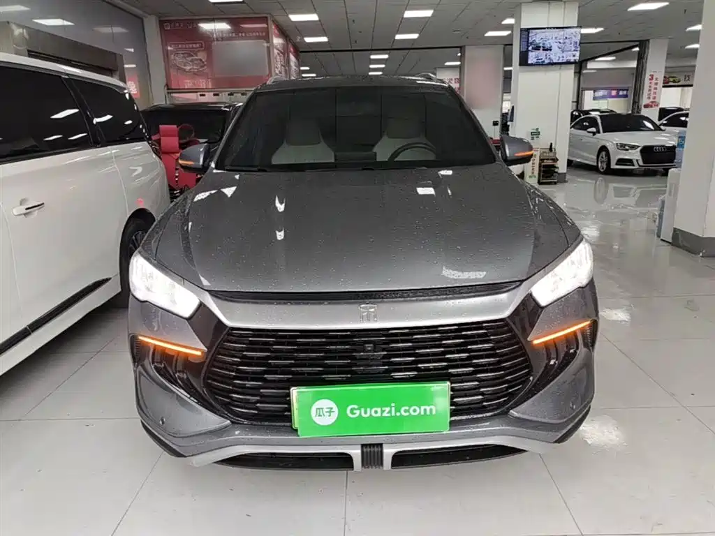 BYD Song Pro New Energy 2024 Glory Edition DM-i 71KM Pilot фото 3